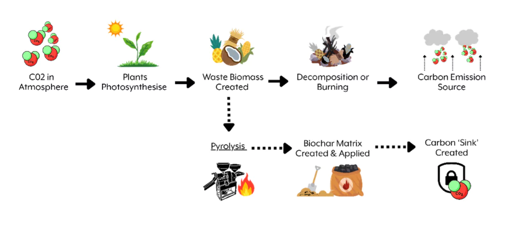Biochar - CDR