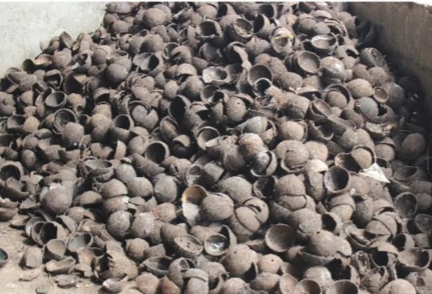 Industrial Biochar -02