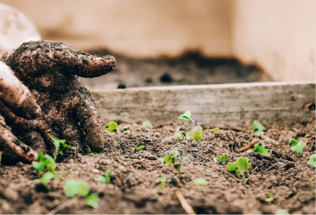Soil Application