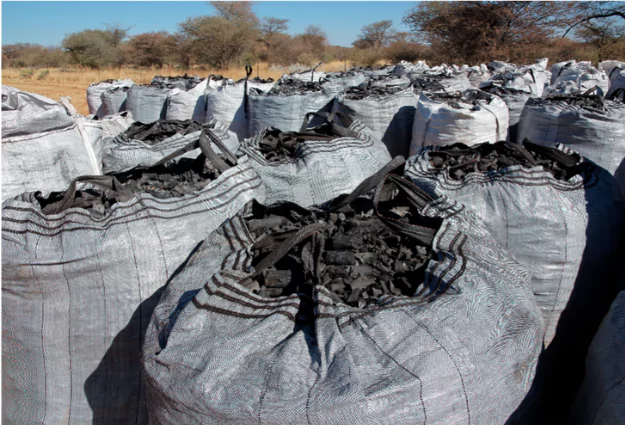 The Science Behind Biochar is Clear