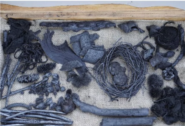 What is Biochar?